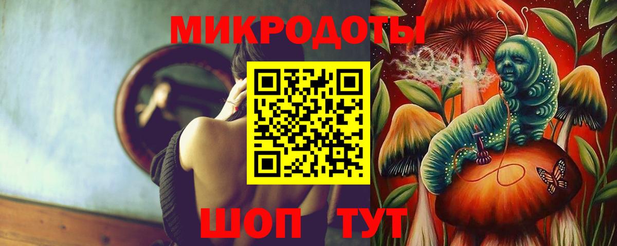 Псилоцибиновые грибы GOLDEN TEACHER Осинники